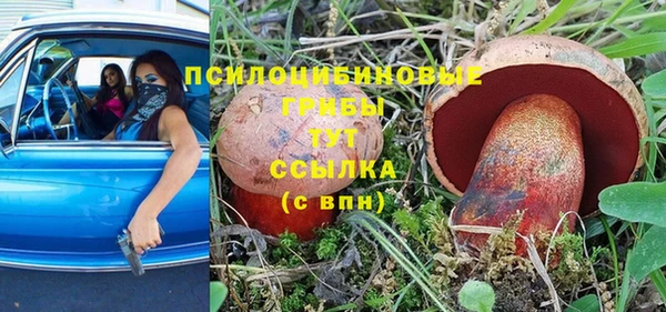 скорость Абаза